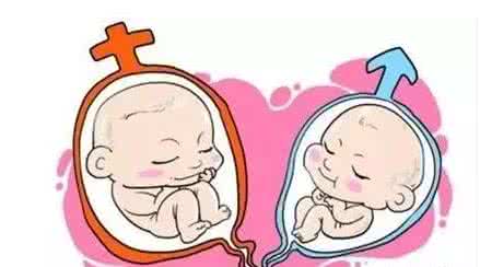 周主任
